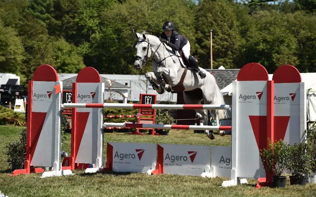 The Silver Oak Young Jumper 2016 Wrap Up