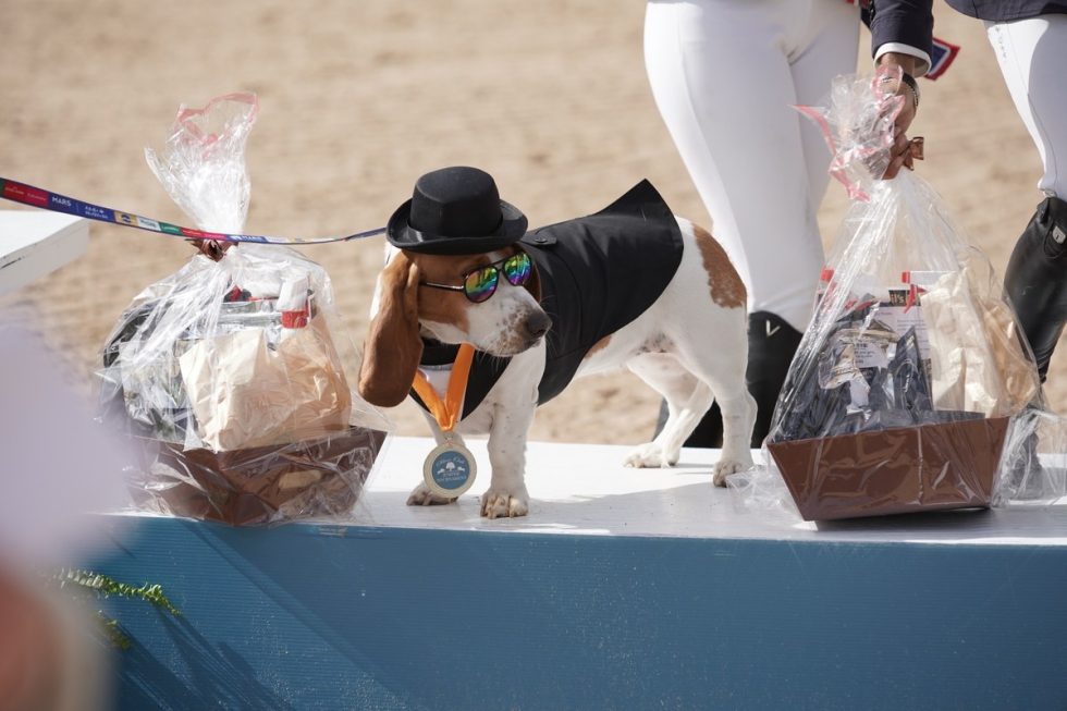 159 SOJT 2025 Photos DSC00812